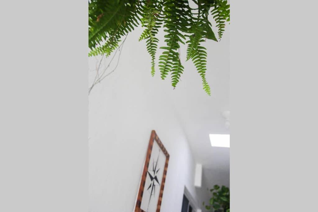 Casa Universo Holbox Exterior photo